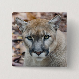 Macaron Carré 5 Cm Puma, lion de montagne, panthère de Floride, Puma