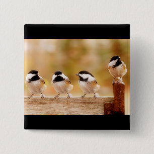 Macaron Carré 5 Cm Quatre petits chickadees