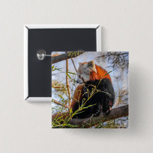 Macaron Carré 5 Cm Red panda