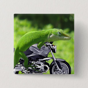 Macaron Carré 5 Cm Rider Hawaiian Gecko