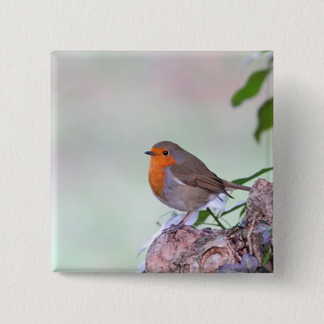 Macaron Carré 5 Cm Robin (Devant)