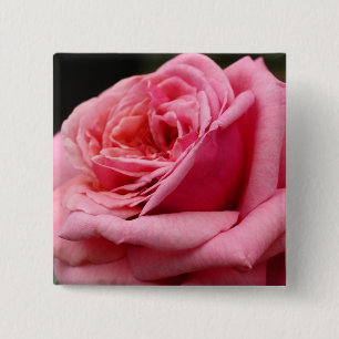 Macaron Carré 5 Cm Rose rose I Photographie florale jolie
