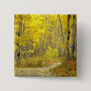 Macaron Carré 5 Cm Route aux couleurs automnales et aux aspérités à K