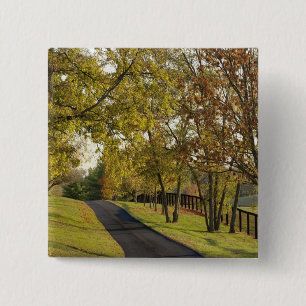 Macaron Carré 5 Cm Route rurale à travers la région de Bluegrass au