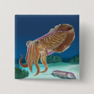 Macaron Carré 5 Cm Scène de MassachusettsCuttlefish