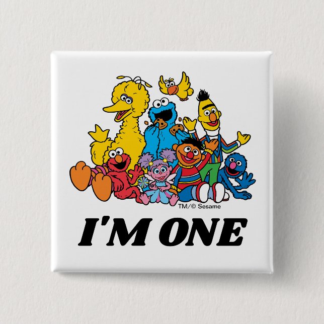 Macaron Carré 5 Cm Sesame Street Pals 1er anniversaire (Devant)