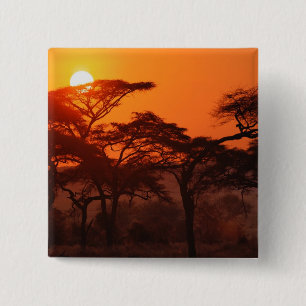 Macaron Carré 5 Cm Silhouette de la forêt d'Acacia au coucher du sol