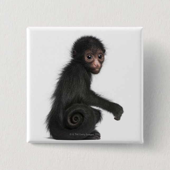 Macaron Carré 5 Cm Singe à tête rouge - Ateles paniscus (3 (Devant)