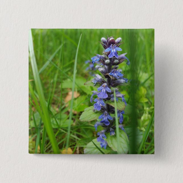 Macaron Carré 5 Cm Skullcap Violet Fleur sauvage (Devant)