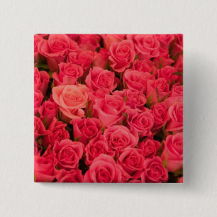 Macaron Carré 5 Cm SLOVÉNIE, Ljubljana : Marché public de Ljubljana /