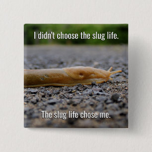 Macaron Carré 5 Cm Slug Life Square Button