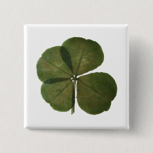 Macaron Carré 5 Cm St Patrick Real 4 Leaf Clover Obtenez Lucky Button