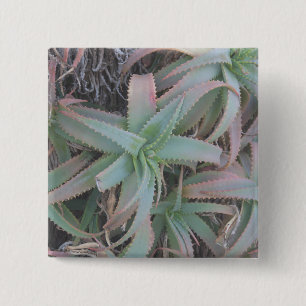Macaron Carré 5 Cm Succulentes du Nevada