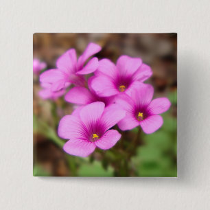 Macaron Carré 5 Cm Sur le bouton Ma porte