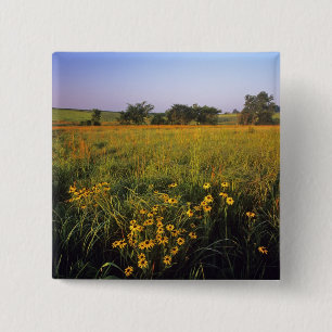 Macaron Carré 5 Cm Susans aux yeux noirs dans la prairie à herbes ha