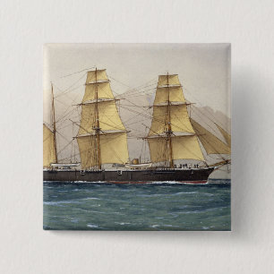 Macaron Carré 5 Cm Swan sauvage, 1906