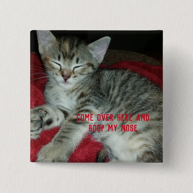 Macaron Carré 5 Cm Tabby gris chaton bosse mon nez (Devant)