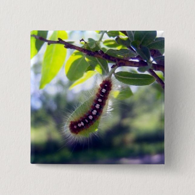 Macaron Carré 5 Cm Tente Caterpillar de forêt 1 bouton (Devant)