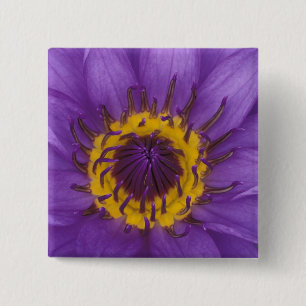 Macaron Carré 5 Cm Thaïlande, Bangkok, Lotus violet et jaune