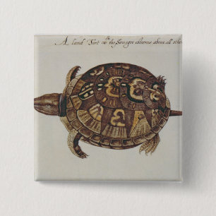 Macaron Carré 5 Cm Tortue de boîte commune