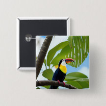 Toucan tropical dans un arbre
