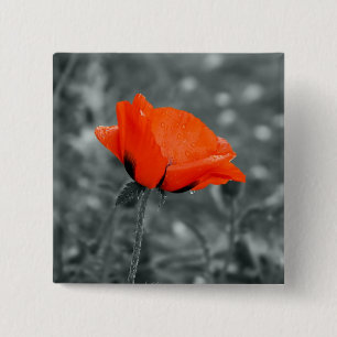 Macaron Carré 5 Cm Touche de couleur, bouton