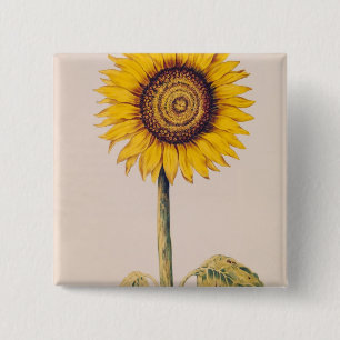 Macaron Carré 5 Cm Tournesol ou Helianthus