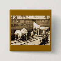 Train d'éléphant de Ringling Bros de glissière de