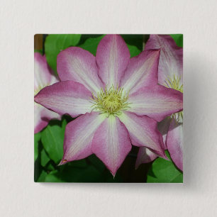 Macaron Carré 5 Cm Trio de Clematis Pink and White Spring Vine