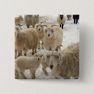 Macaron Carré 5 Cm Troupeau des chèvres