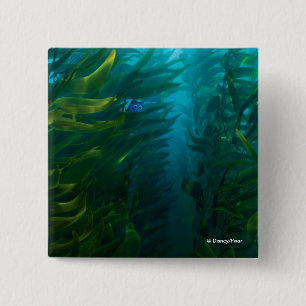 Macaron Carré 5 Cm Trouver Dory   Cacher et rechercher - Kelp de mer