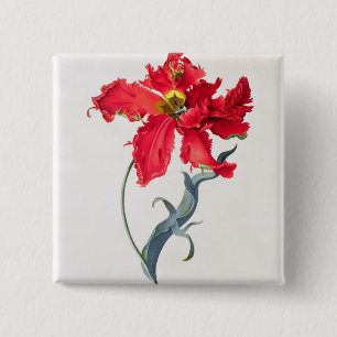 Macaron Carré 5 Cm Tulipe : Fard à joues de Perroquet