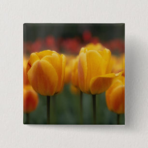 Macaron Carré 5 Cm Tulipes 2