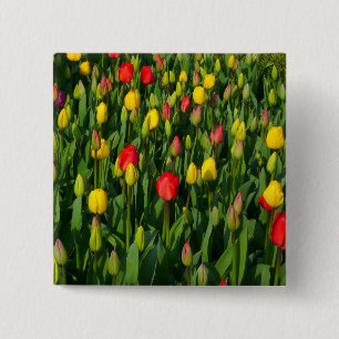 Macaron Carré 5 Cm Tulipes colorées