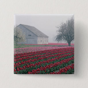 Macaron Carré 5 Cm Tulipes rouges et roses saluent la journée dans un