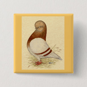Macaron Carré 5 Cm Tumbler Pigeon: LFCL Mealy