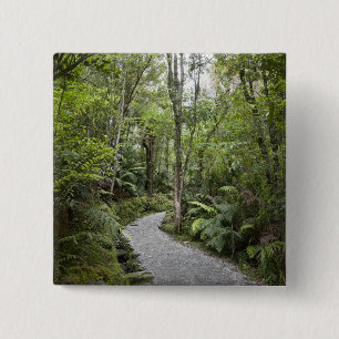 Macaron Carré 5 Cm Un chemin à travers une forêt tropicale à la ba