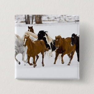 Macaron Carré 5 Cm Un hiver pittoresque de chevaux en course