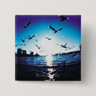 Macaron Carré 5 Cm Une vue aérienne de lentille de fisheye de baie de