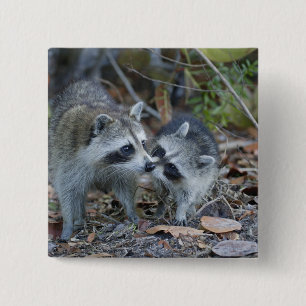 Macaron Carré 5 Cm USA, Floride, Sanibel, Ding Darling National