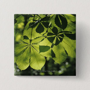 Macaron Carré 5 Cm Vert sept feuilles de point avec l'illumination de