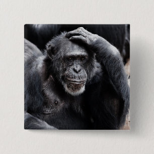 Macaron Carré 5 Cm Vieux bouton Chimpanzé