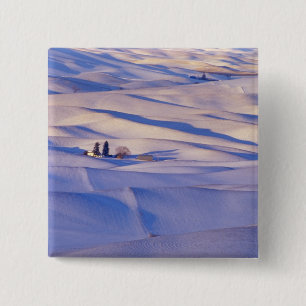 Macaron Carré 5 Cm Vue de Steptoe Butte sur les collines ondulantes