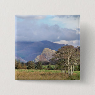 MACARON CARRÉ 5 CM WALES