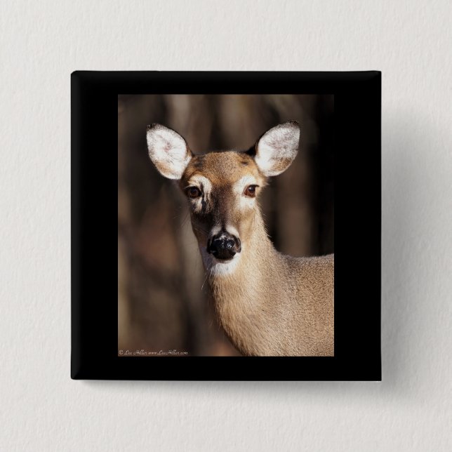 Macaron Carré 5 Cm Wildlife Whitetail Deer Doe Portrait (Devant)