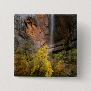 Macaron Carré 5 Cm Zion National Park, Utah. États-Unis. Éphémère