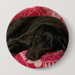 Macaron Rond 10 Cm Bouton chien endormi