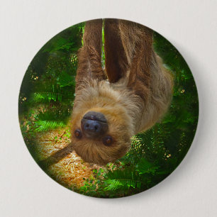 Macaron Rond 10 Cm Bouton de la forêt pluviale de Sloth