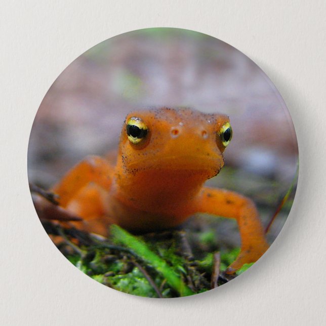 Macaron Rond 10 Cm Bouton de la nature rouge Eft Salamander Newt (Devant)