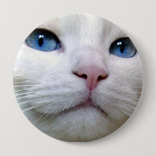 Macaron Rond 10 Cm Bouton de Tom